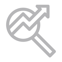 seo-icon-grey-seo-nexa seo national